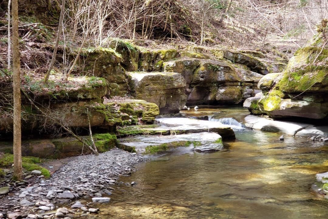 Photo of Others in Long Eddy