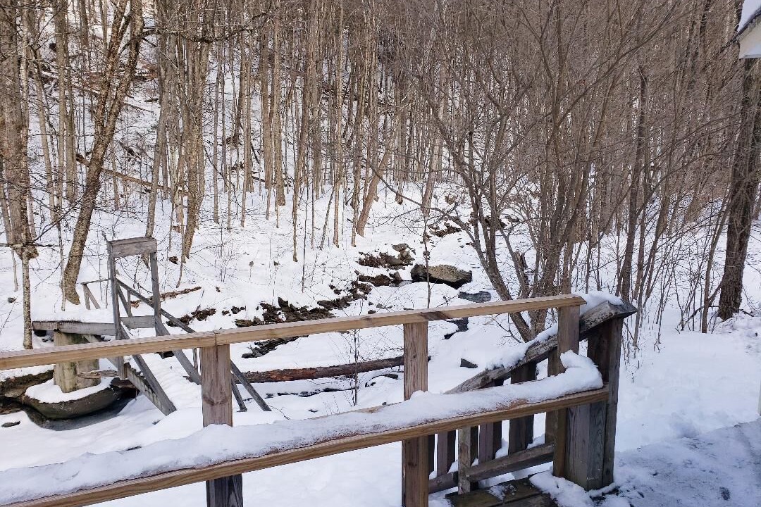 Photo of Outdoor in Long Eddy