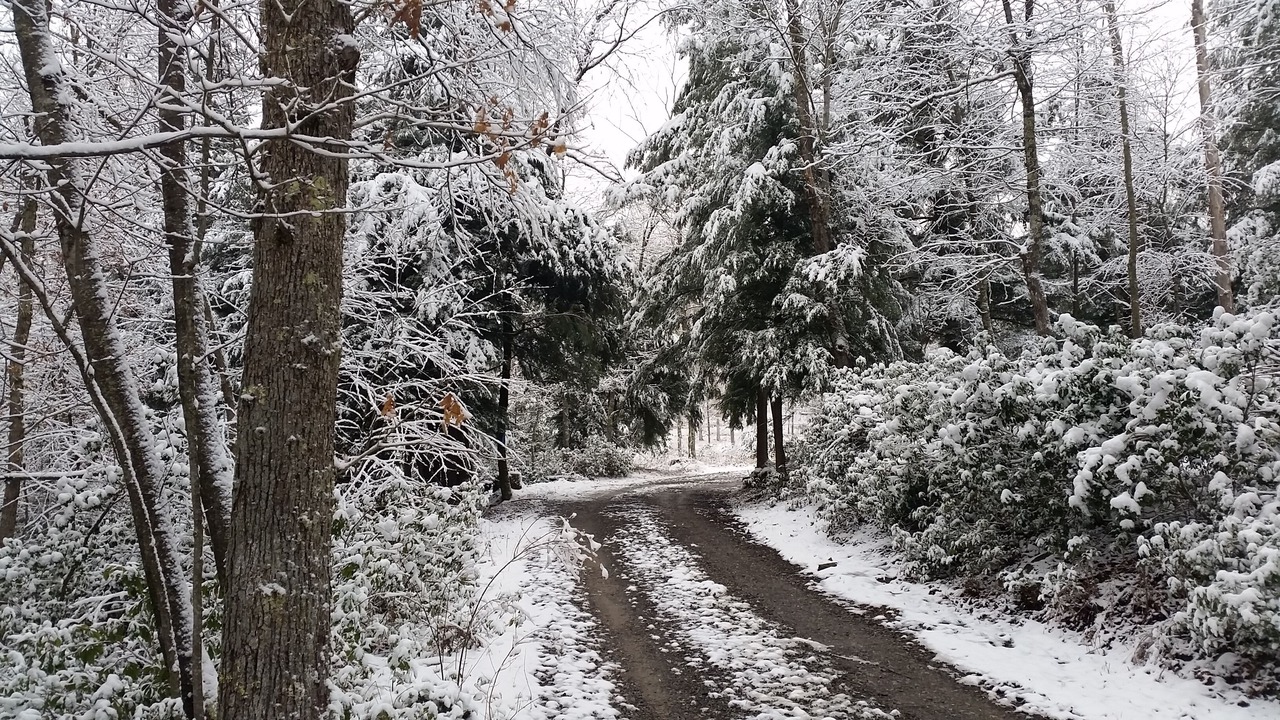 Photo of Outdoor in French Creek