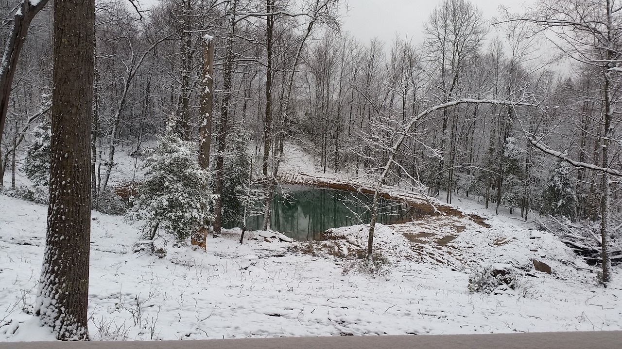 Photo of Outdoor in French Creek