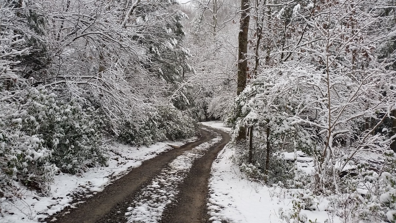 Photo of Outdoor in French Creek