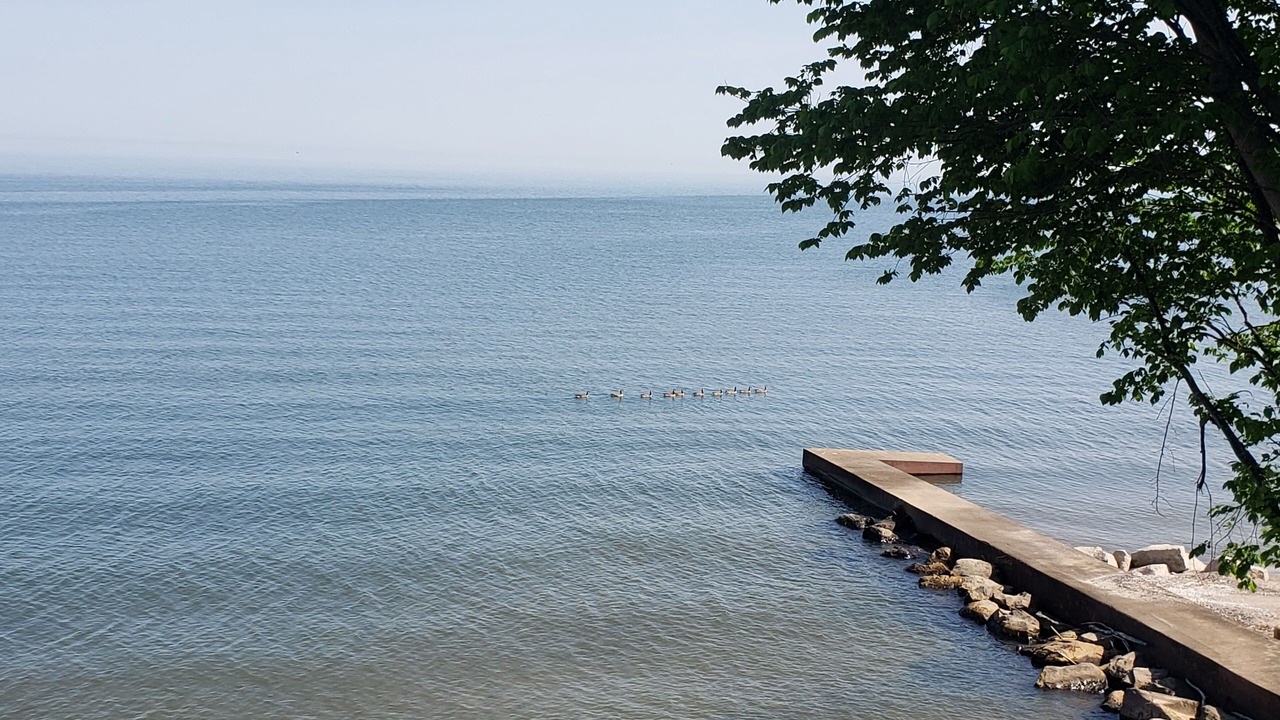 Photo of Others in Vermilion