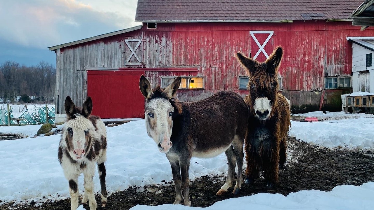 Photo of Others in Hardyston Township