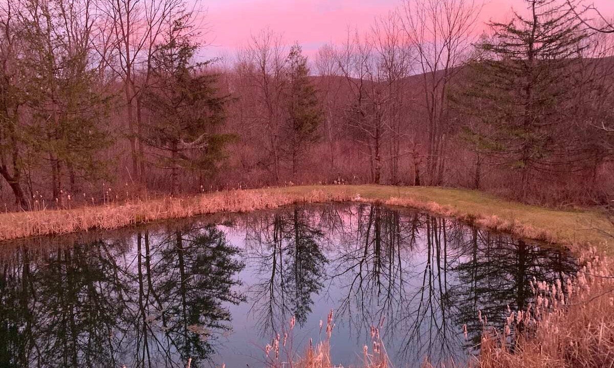 Photo of Others in Hardyston Township
