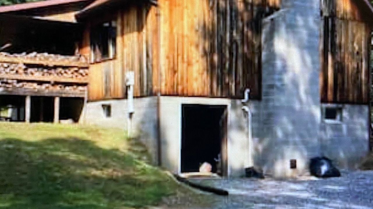 Photo of Outdoor in Mapleton Depot