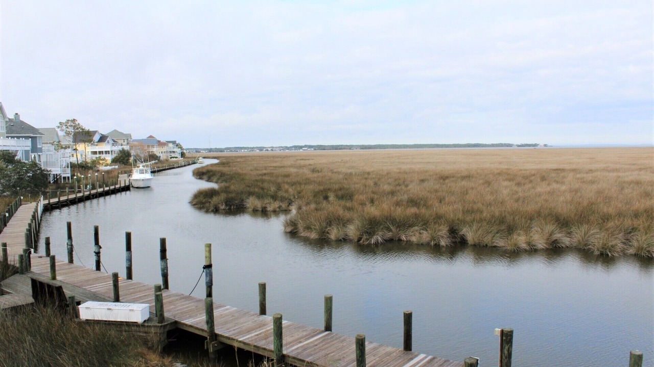 Photo of Others in Manteo