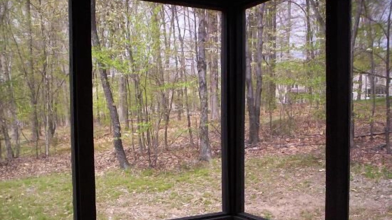 Photo of Outdoor in East Stroudsburg