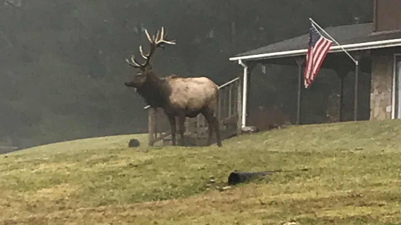 Photo of Outdoor in Force