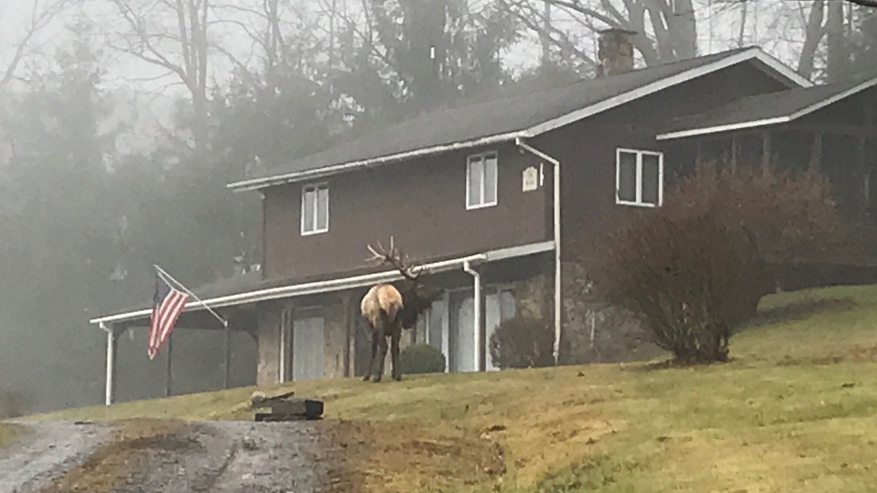 Photo of Outdoor in Force