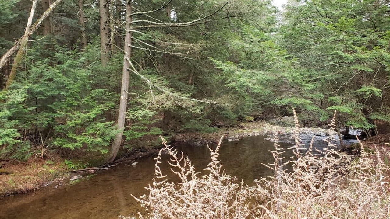 Photo of Outdoor in Parksville