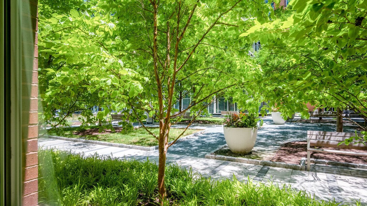 Photo of Patio Balcony in George Washington University