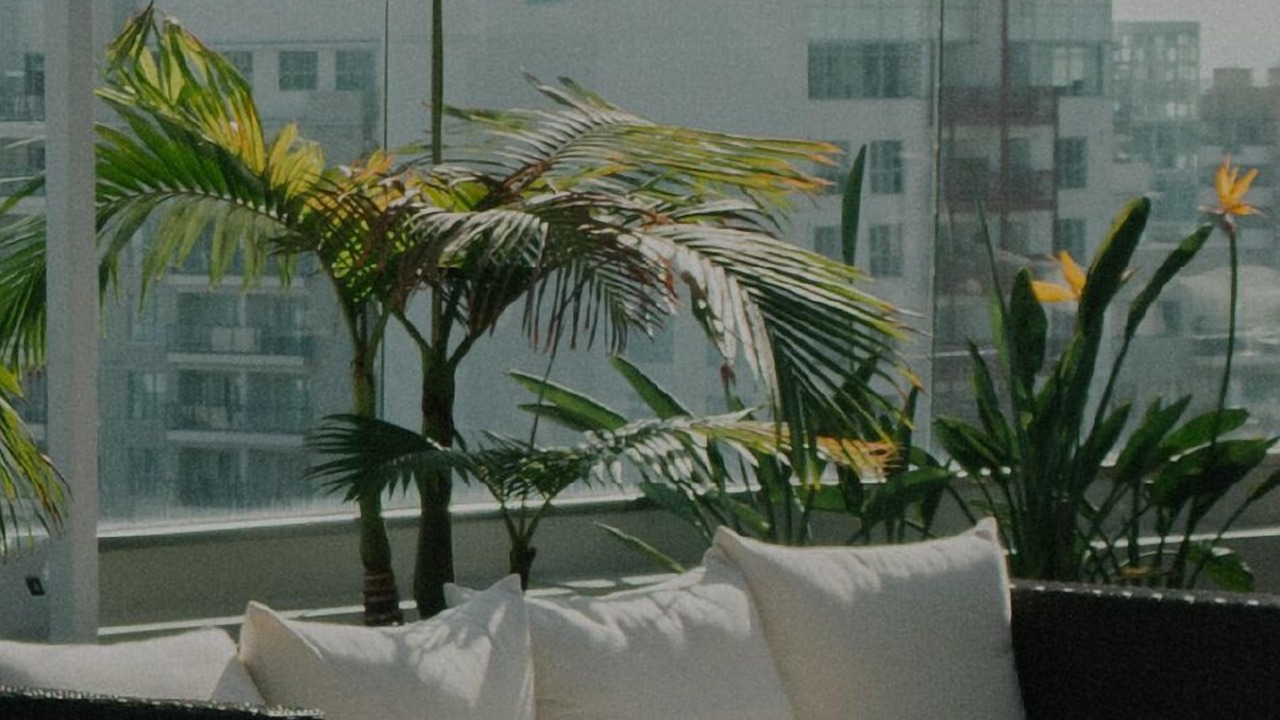 Photo of Outdoor in Chinatown