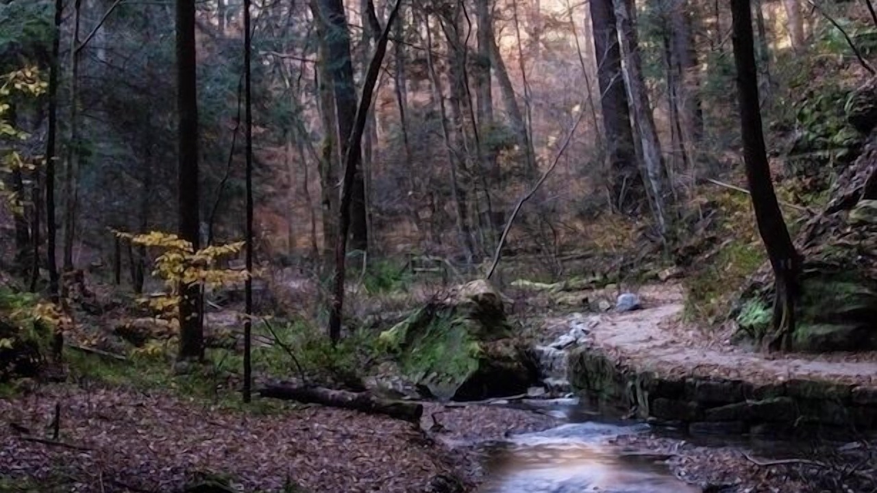 Photo of Outdoor in Amanda