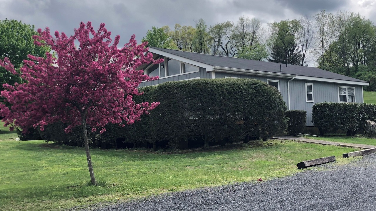Photo of Outdoor in Saylorsburg