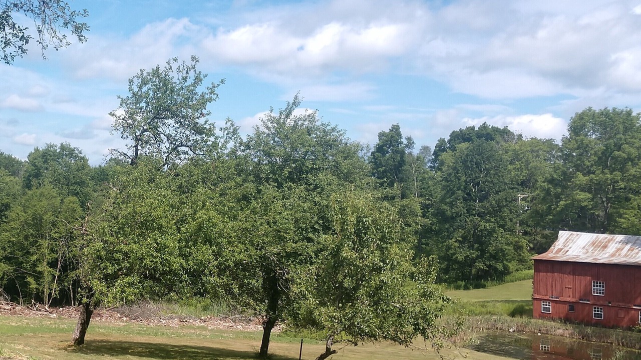 Photo of Outdoor in Equinunk