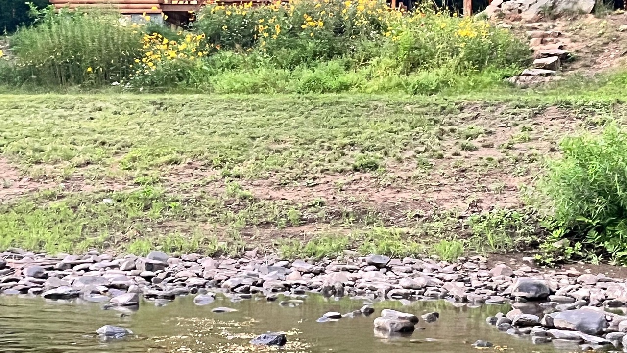 Photo of Outdoor in Portland Mills