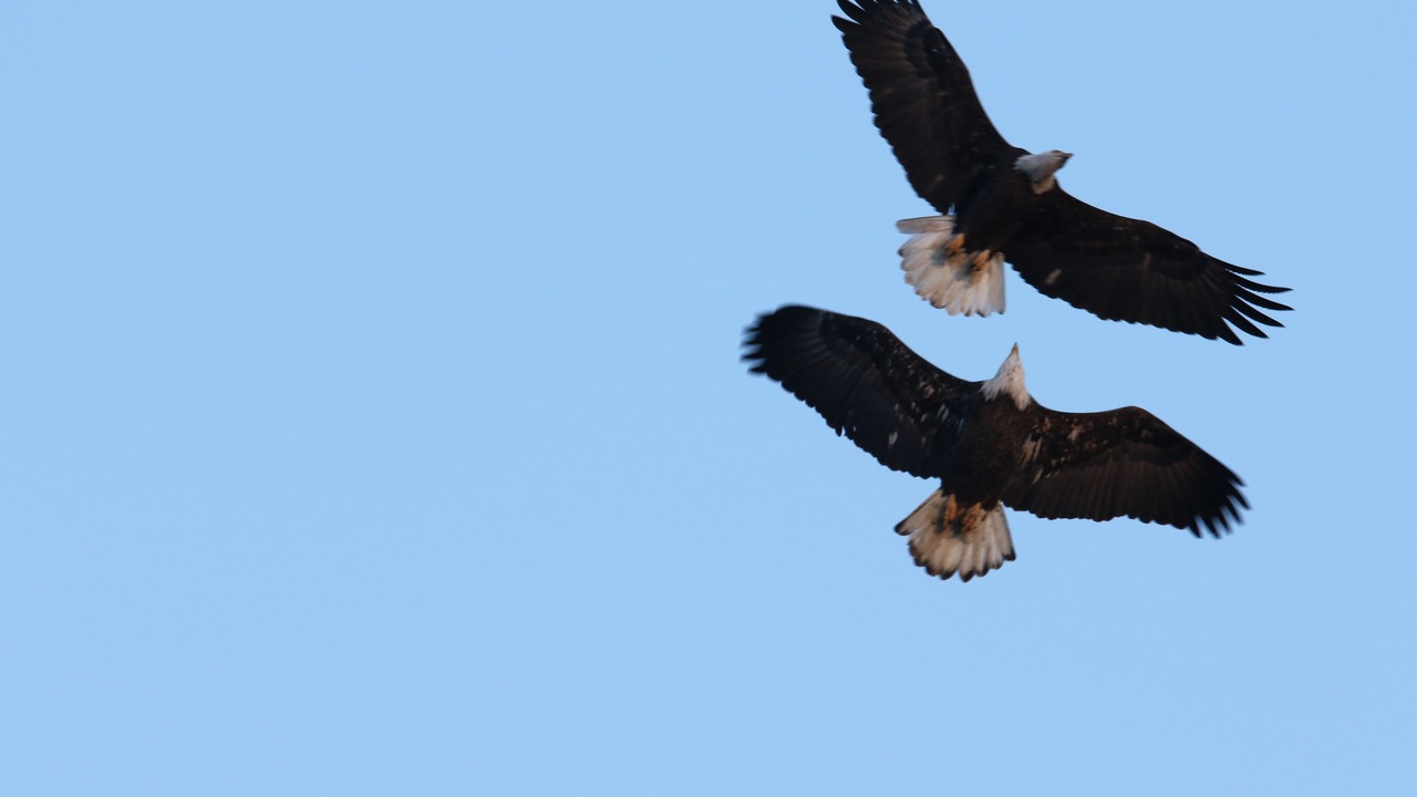 Photo of Others in Ephrata