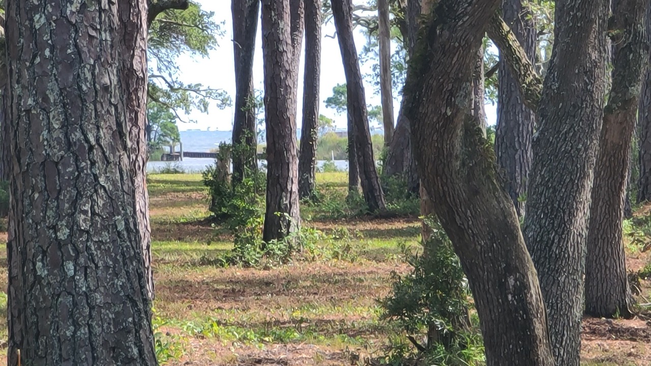 Photo of Outdoor in Atlantic