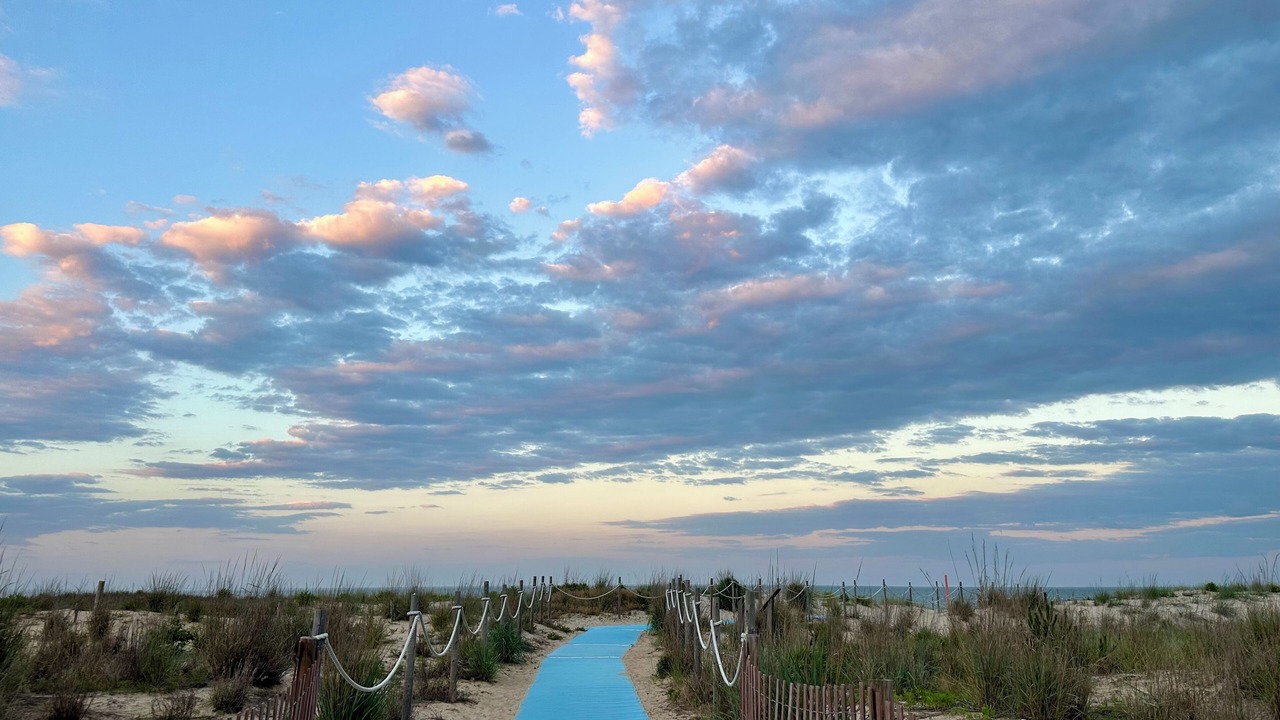 Photo of Others in Rehoboth by the Sea