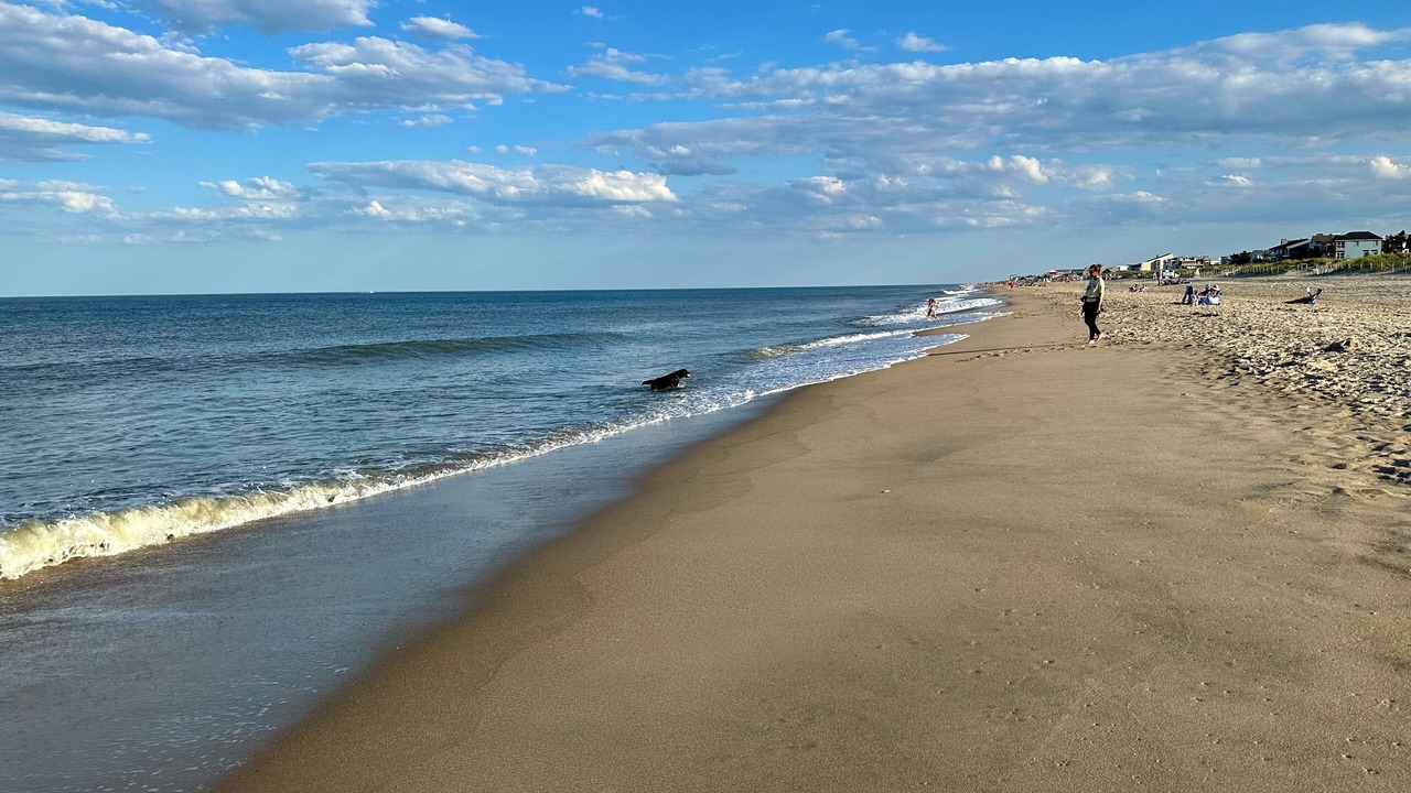 Photo of Others in Rehoboth by the Sea
