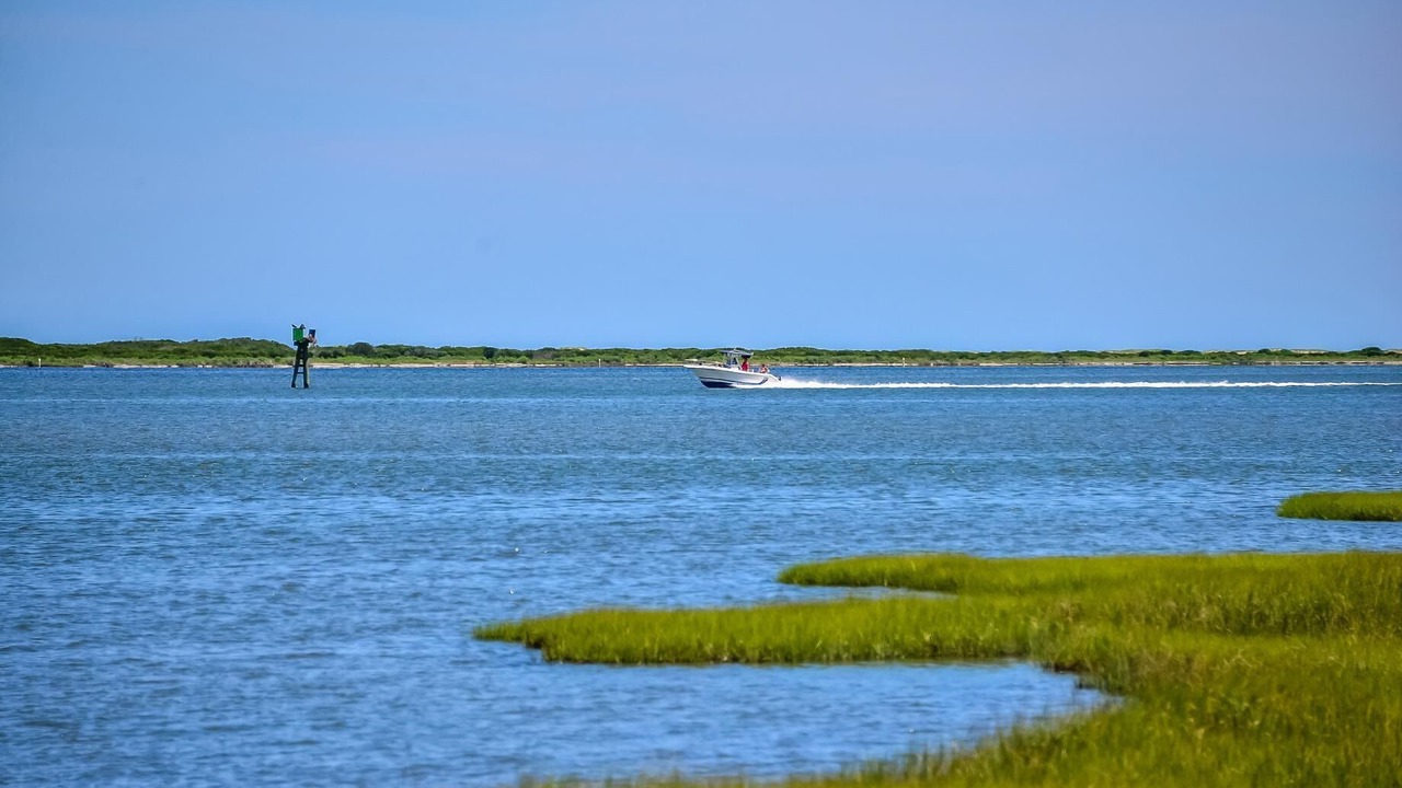 Photo of Others in Assateague Pointe