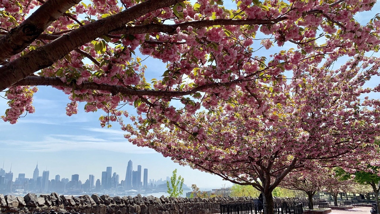 Photo of Outdoor in West New York