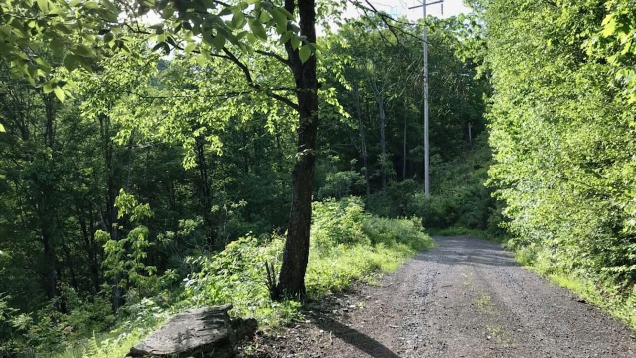 Photo of Outdoor in Big Indian