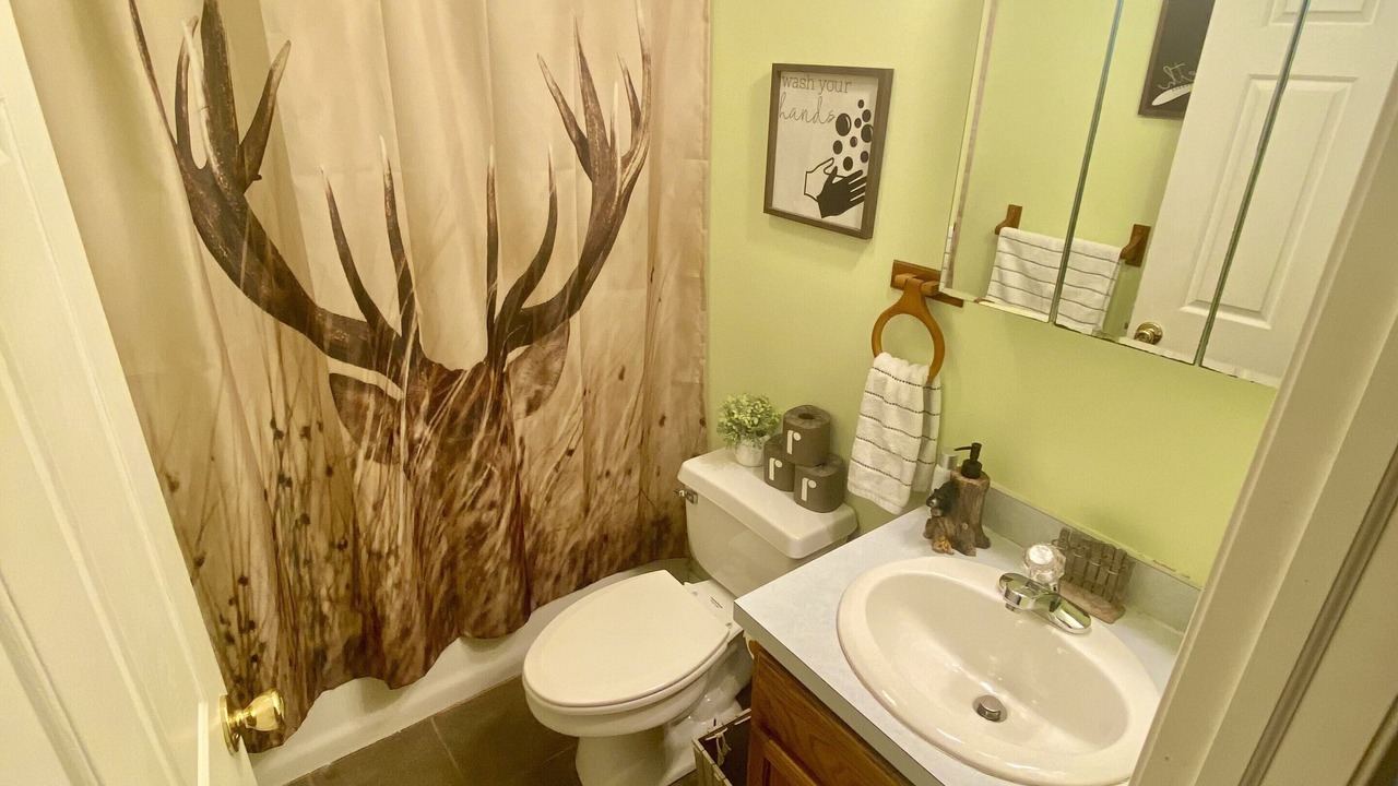 Photo of Bathroom in Lake Ariel
