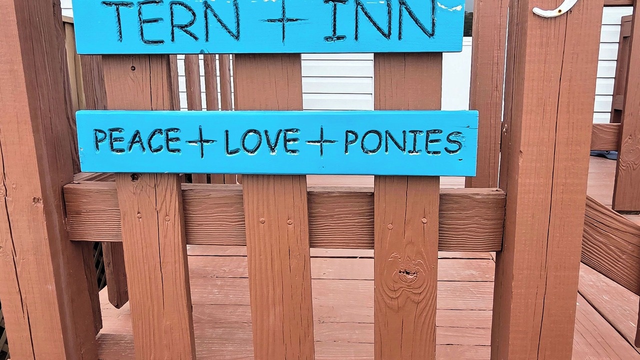 Photo of Outdoor in Chincoteague