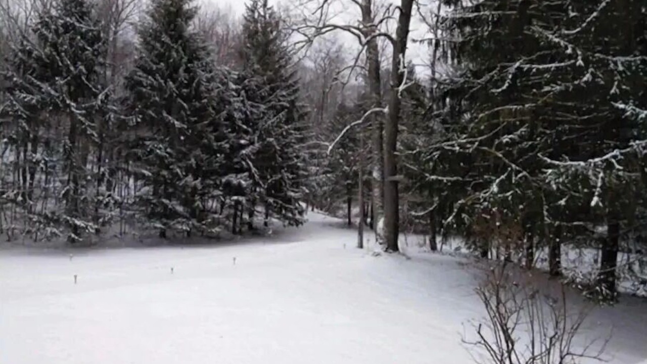 Photo of Outdoor in East Branch