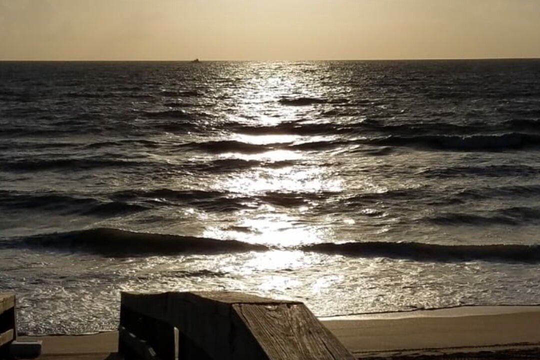 Photo of Others in Wildwood Crest