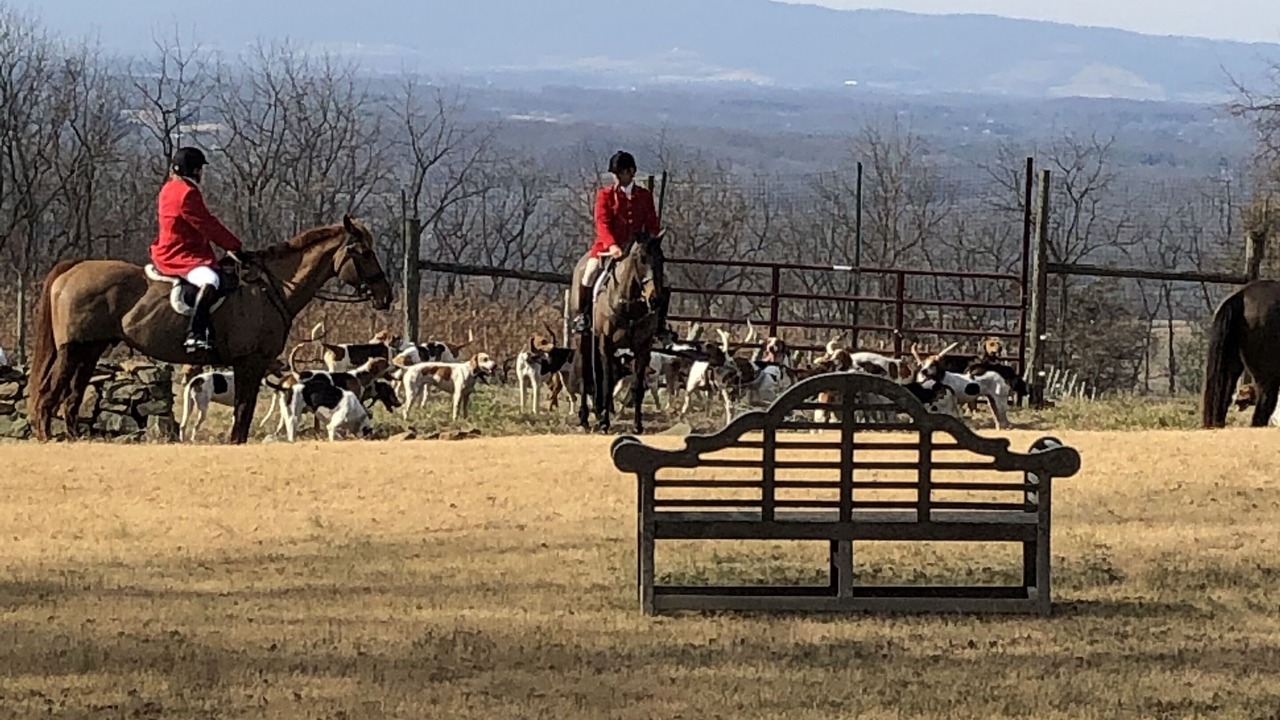 Photo of Others in Blue Ridge