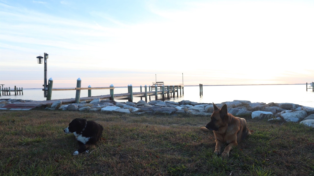 Photo of Others in Piney Point