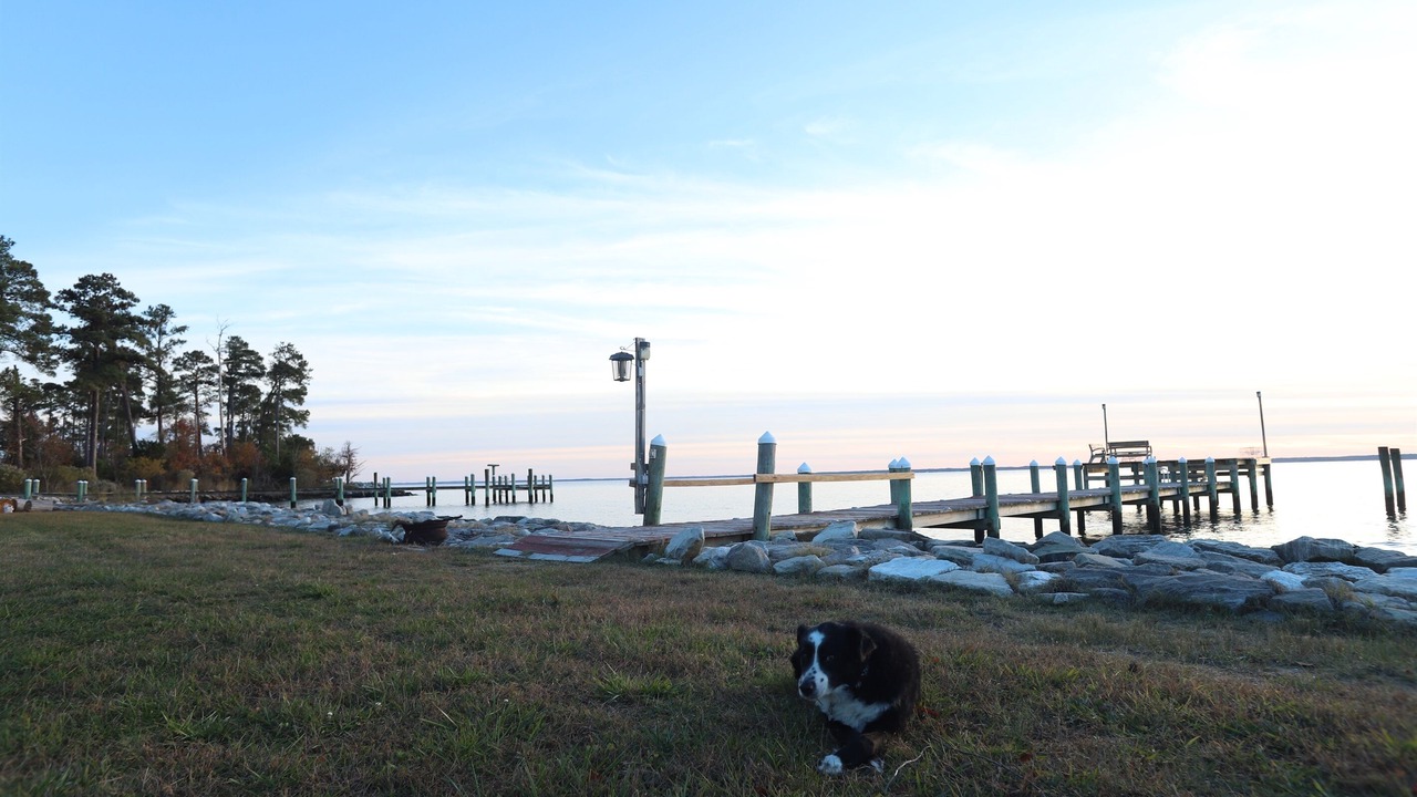 Photo of Others in Piney Point