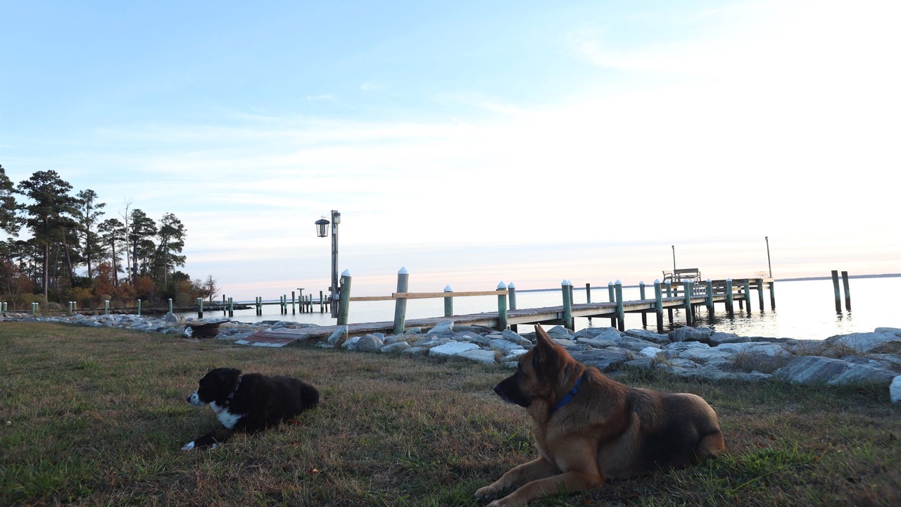 Photo of Others in Piney Point