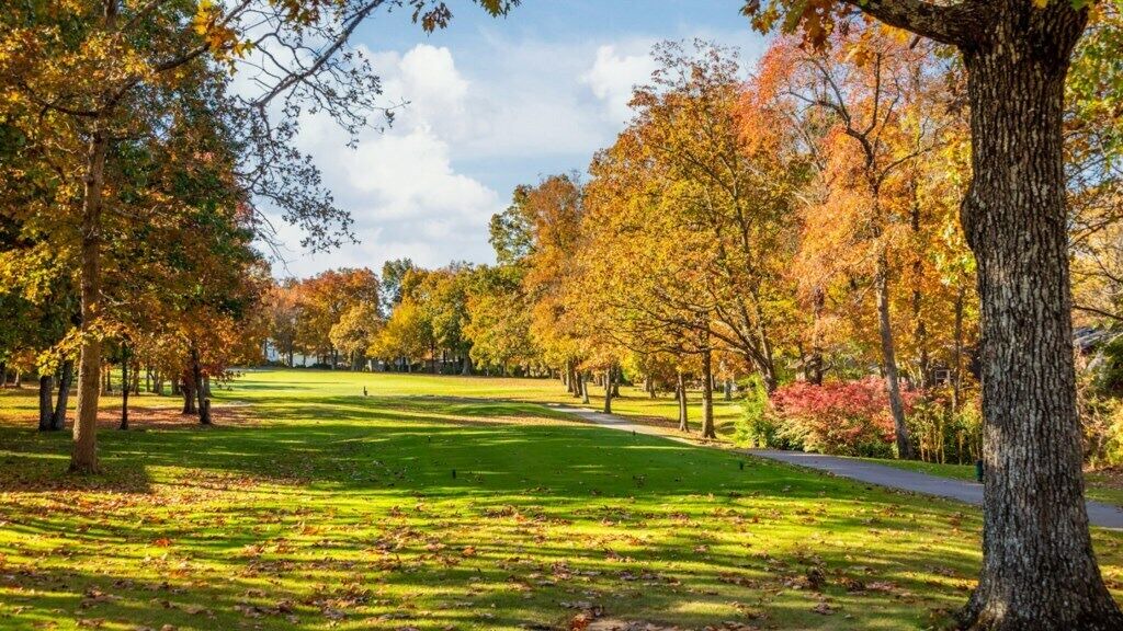 Photo of Others in Fairfield Glade
