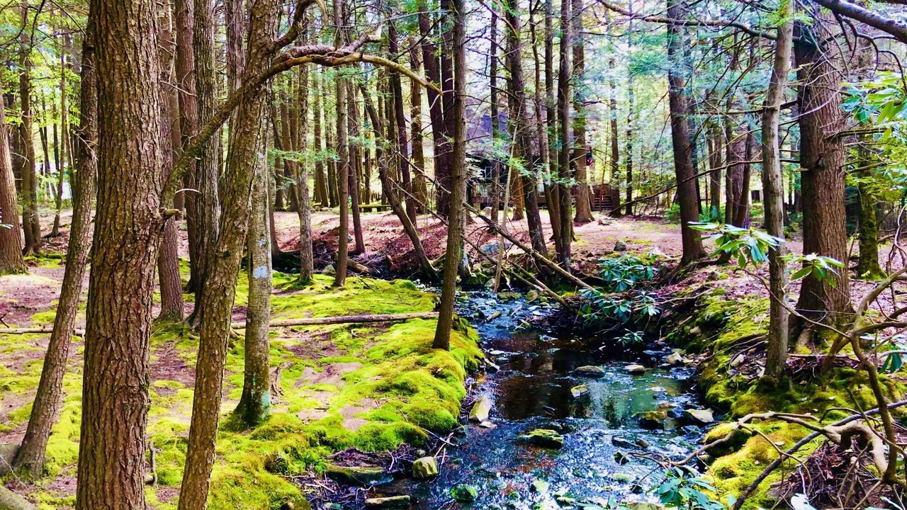 Photo of Others in Pocono Pines