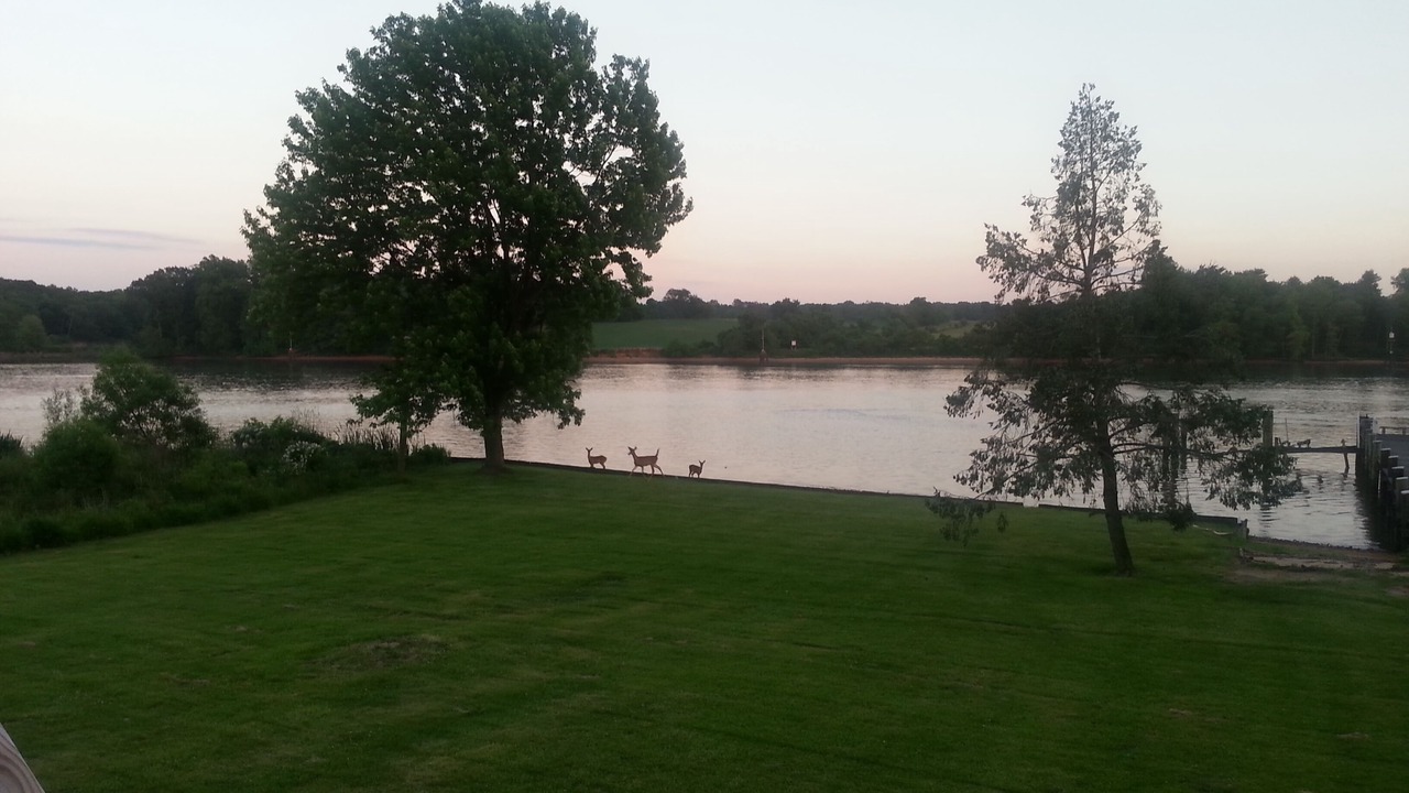 Photo of Outdoor in Elkton