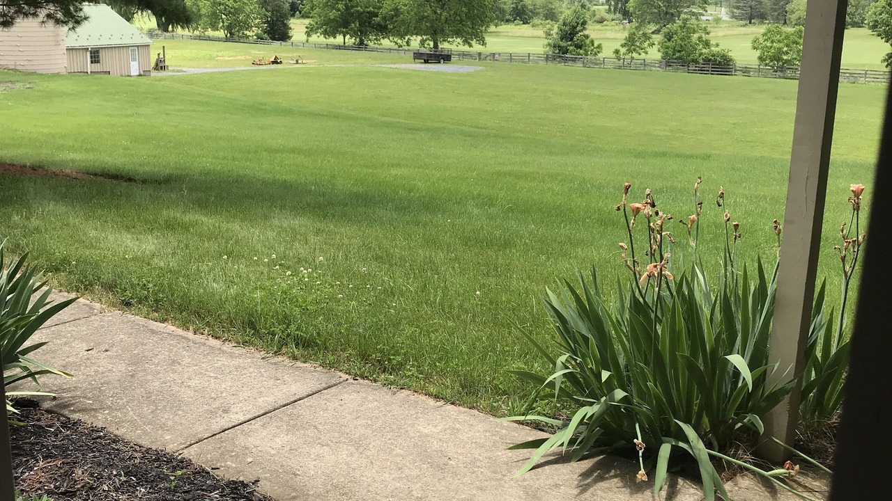 Photo of Outdoor in Boalsburg
