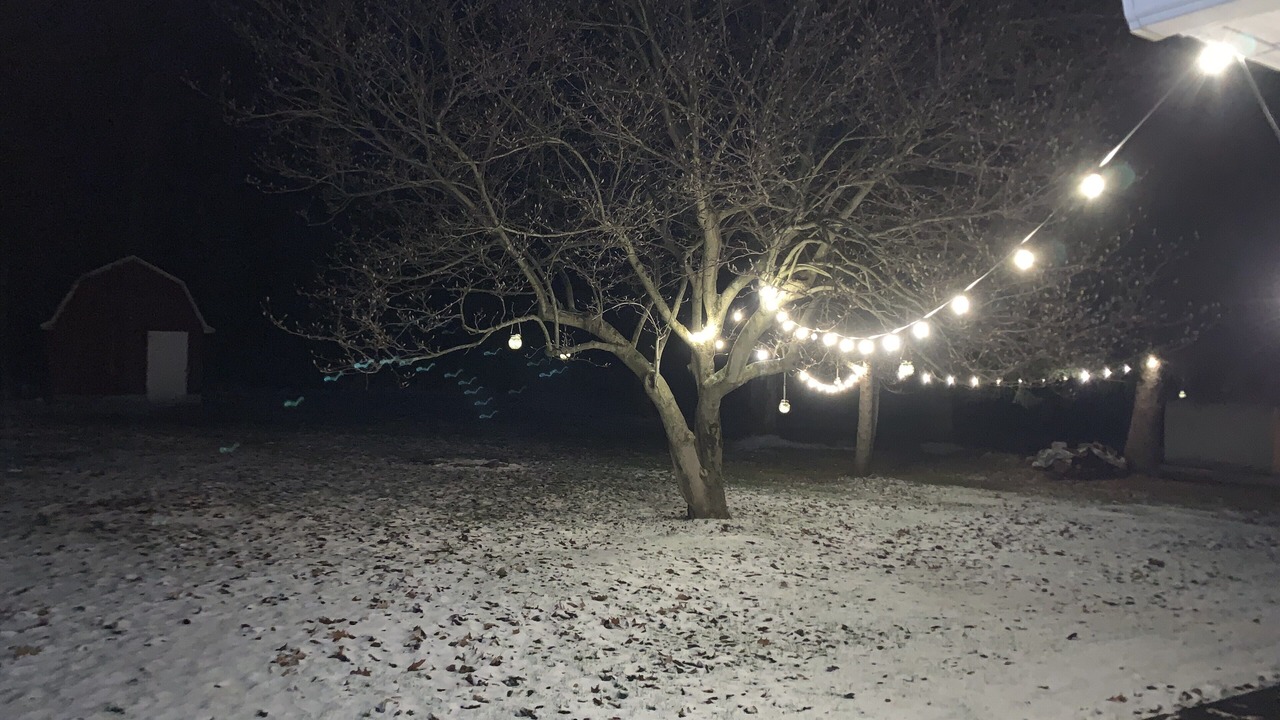 Photo of Outdoor in Champion