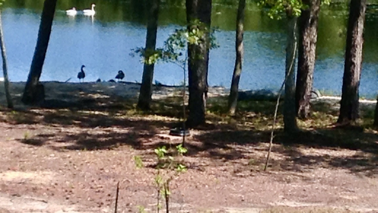 Photo of Outdoor in Galloway