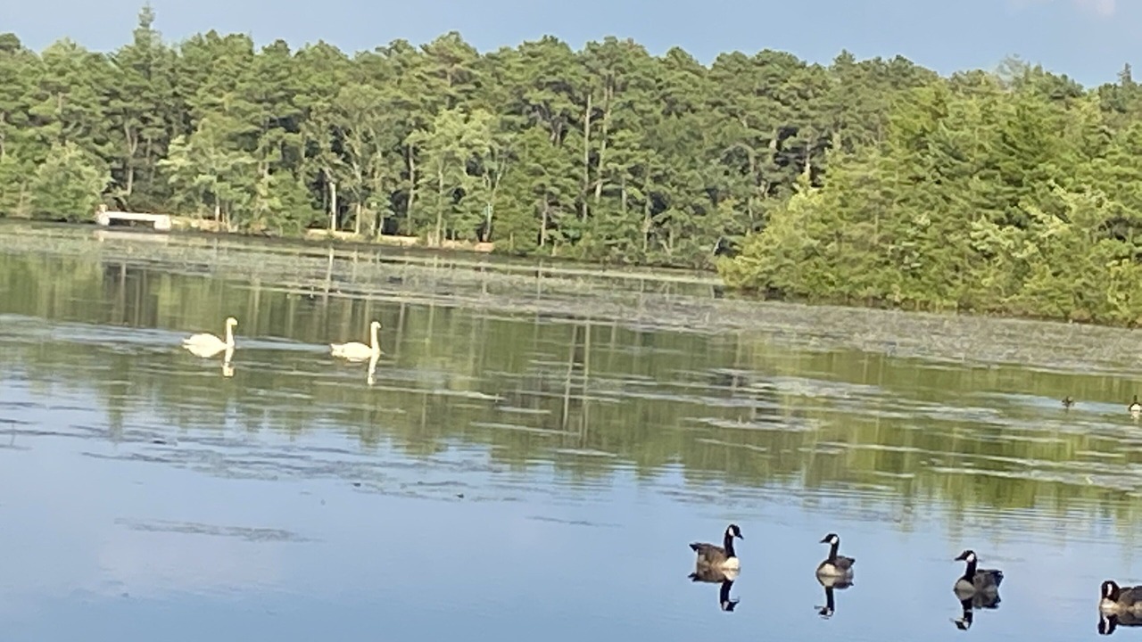 Photo of Outdoor in Galloway