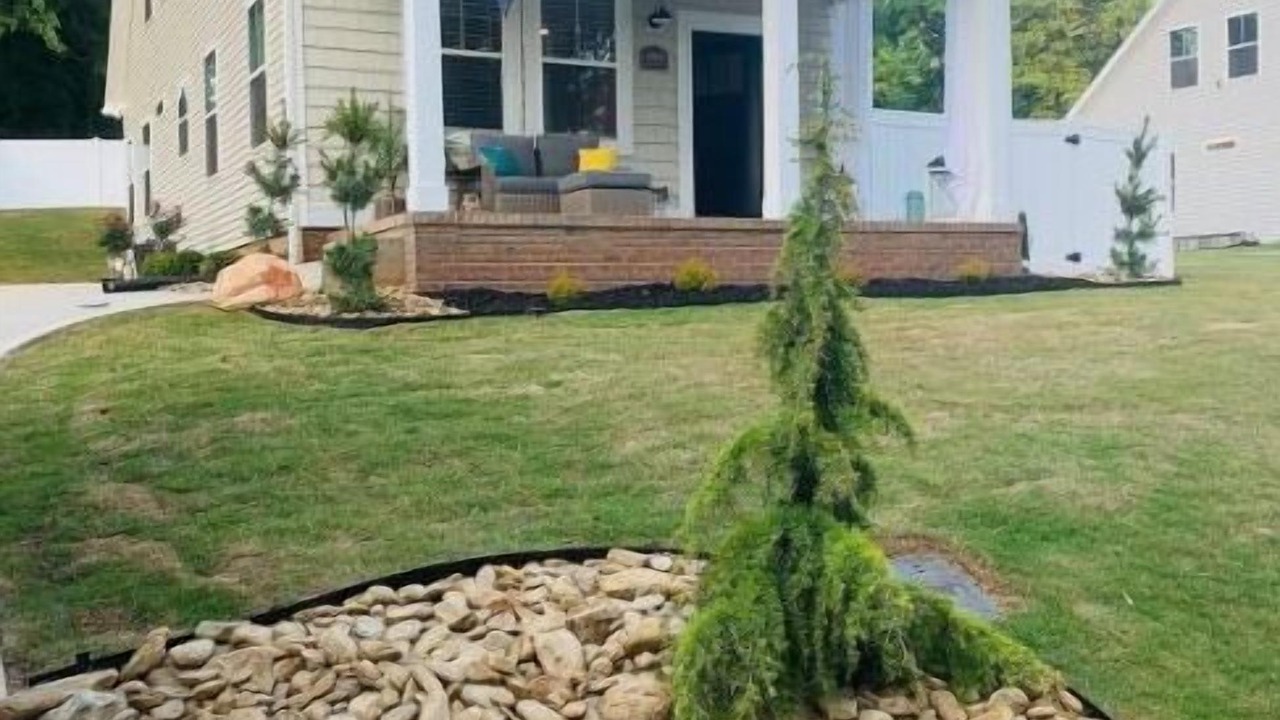 Photo of Outdoor in Easley