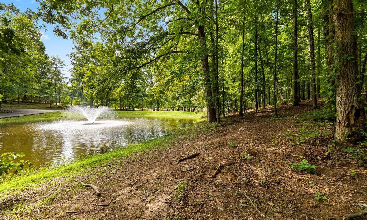 Photo of Outdoor in Knoxville