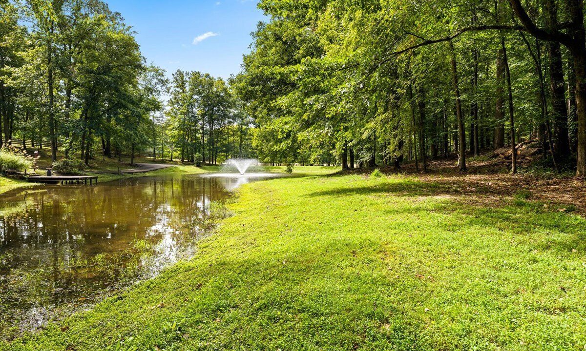 Photo of Outdoor in Knoxville