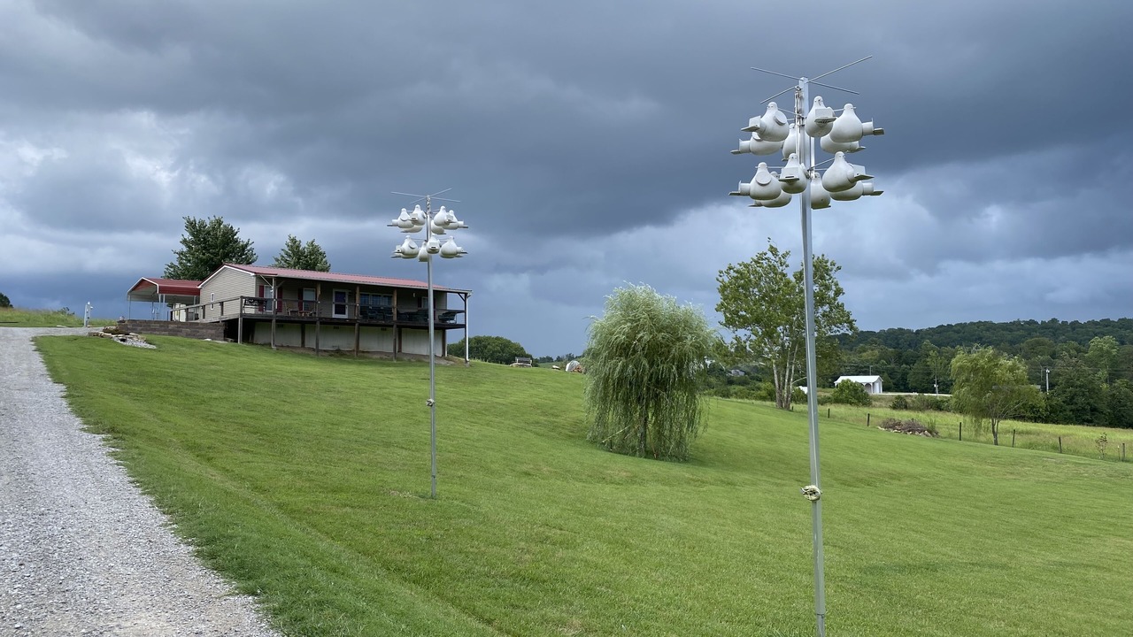 Photo of Outdoor in Nancy