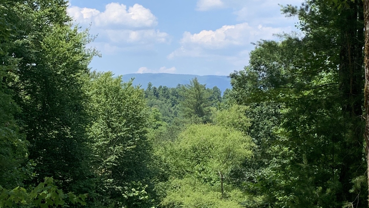 Photo of Others in Ellijay