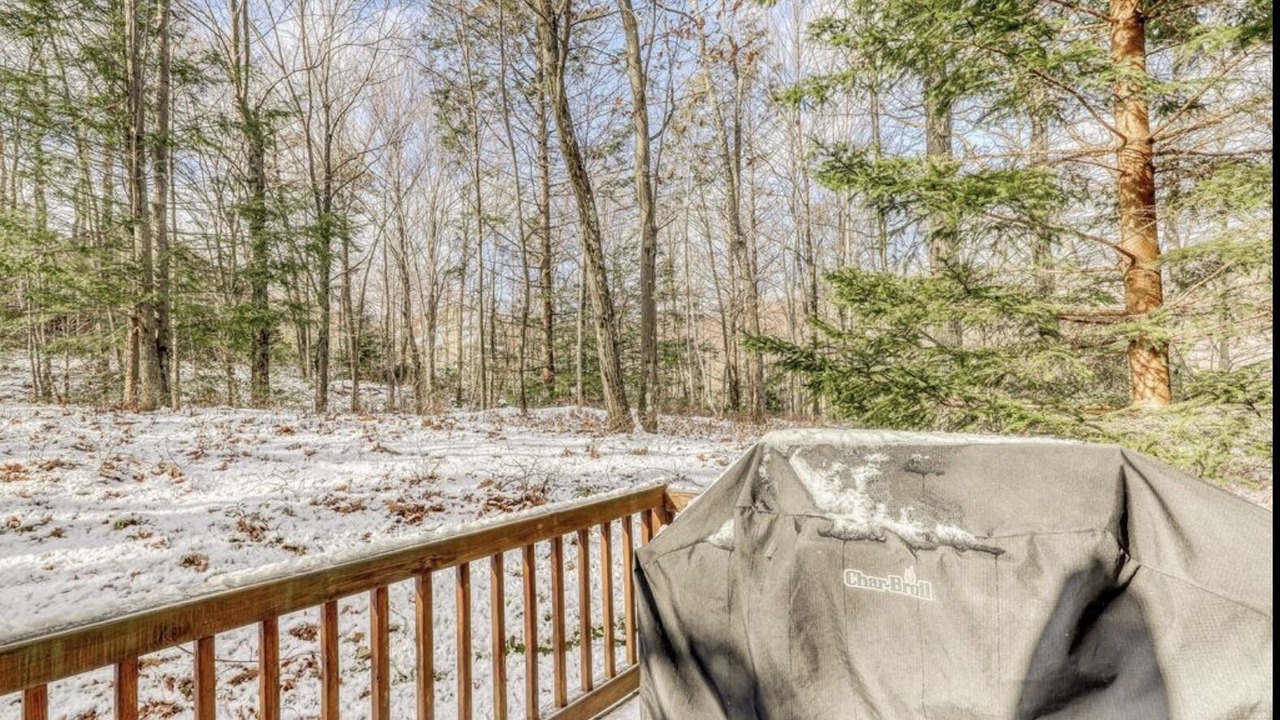Photo of Outdoor in Tannersville