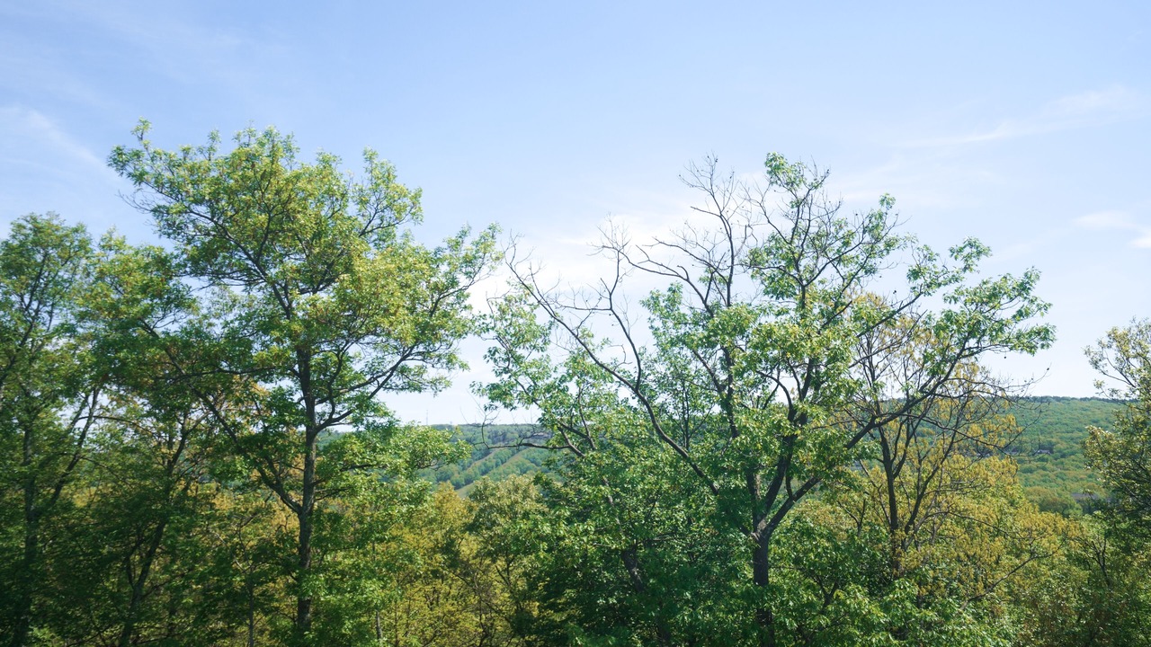 Photo of Outdoor in Tannersville
