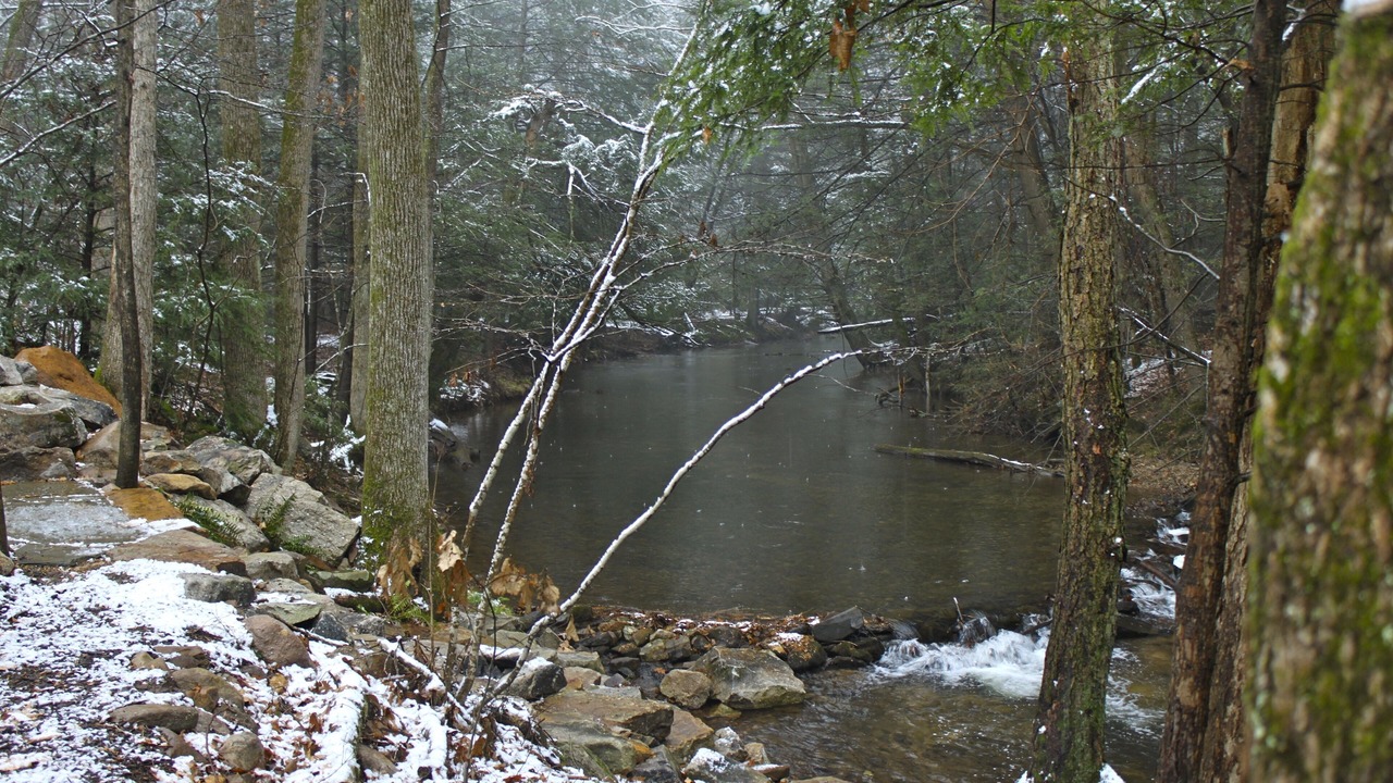 Photo of Others in Dauphin